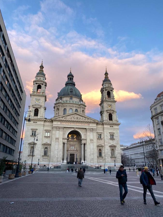 In The Center Of The “jungle” With Panorama Budapest